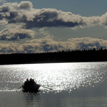 Camp Alta Kiruna Bagian luar foto